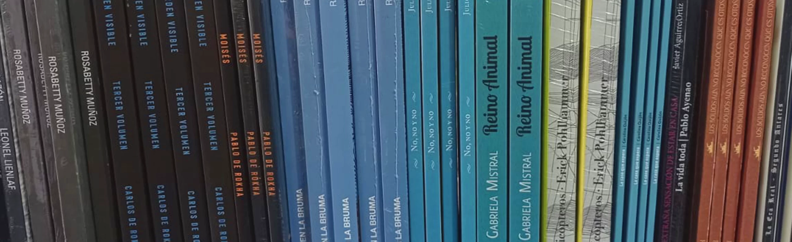Imagen con libros de la estantería