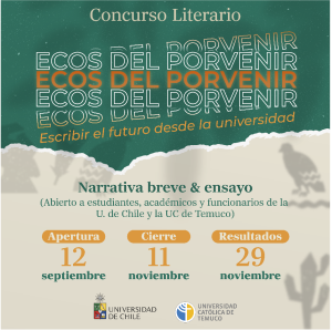afiche del concurso