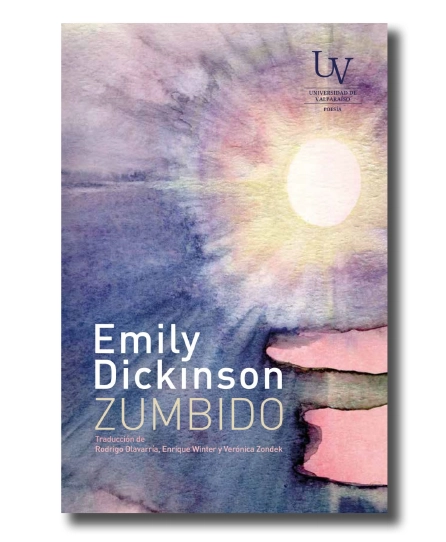 portada del libro Zumbido